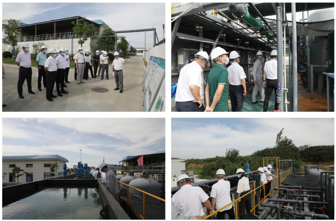 1.webp.jpg 1.webp.jpg